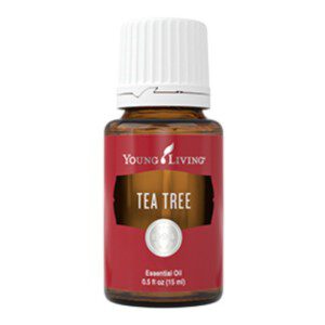 Tea tree-praktijkvivalavida-youngliving
